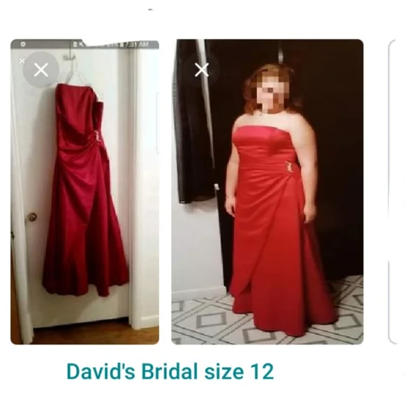 sachin and babi light blue dress David's Bridal Plus-Size Wedding Dresses